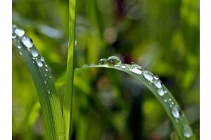 Why harvest rainwater?