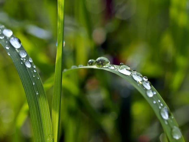 Why harvest rainwater?